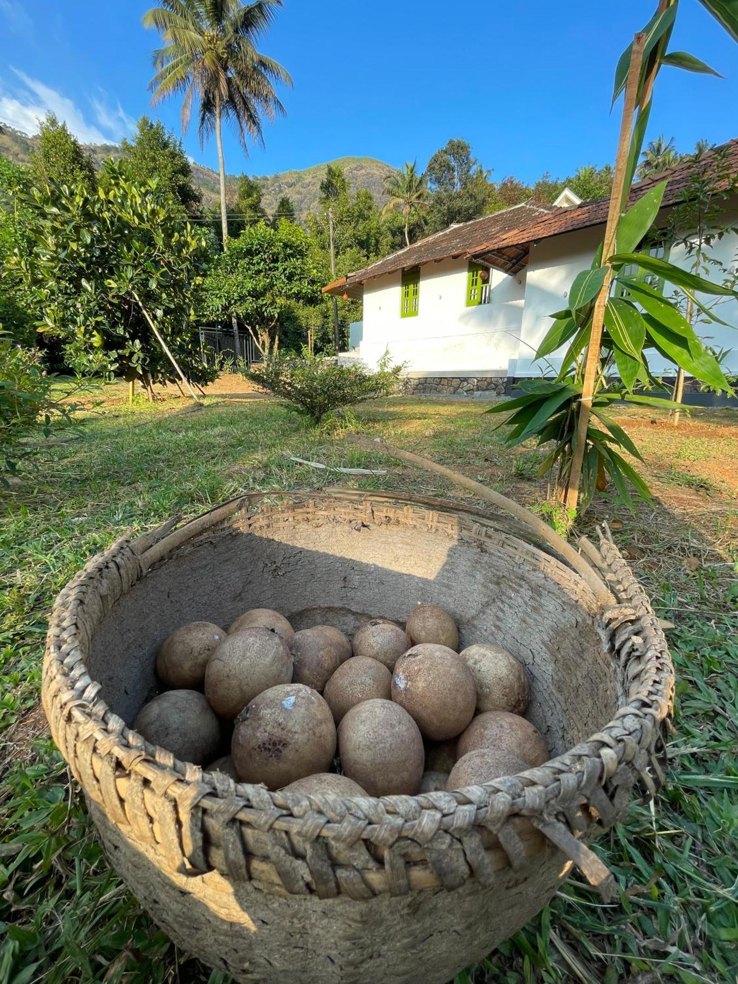 Calm Shack - 2 Bedroom-Boutique Farm Stay مونار المظهر الخارجي الصورة