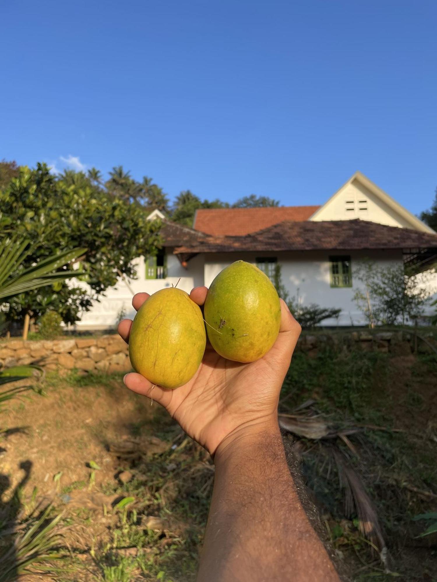 Calm Shack - 2 Bedroom-Boutique Farm Stay مونار المظهر الخارجي الصورة