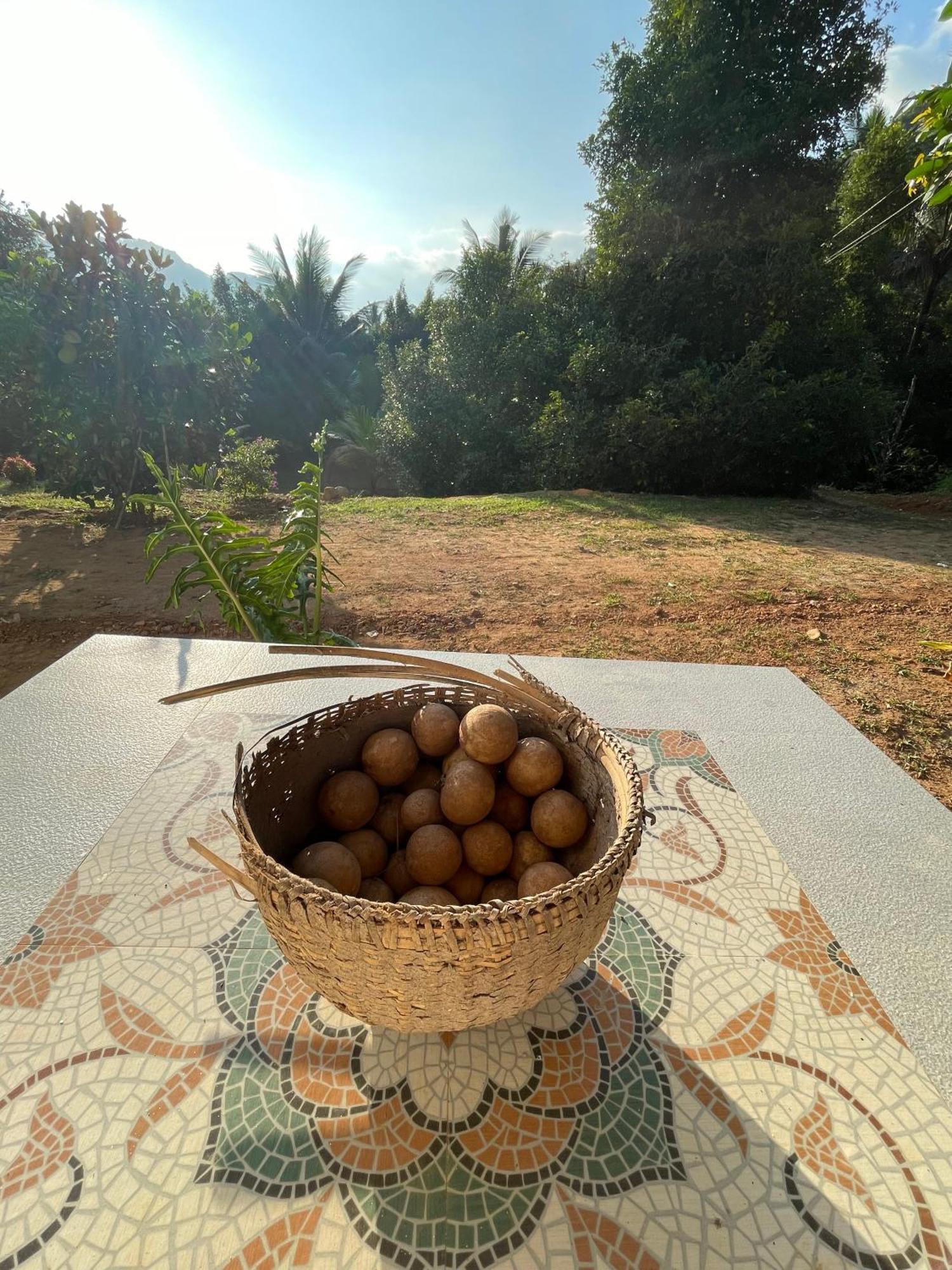 Calm Shack - 2 Bedroom-Boutique Farm Stay مونار المظهر الخارجي الصورة