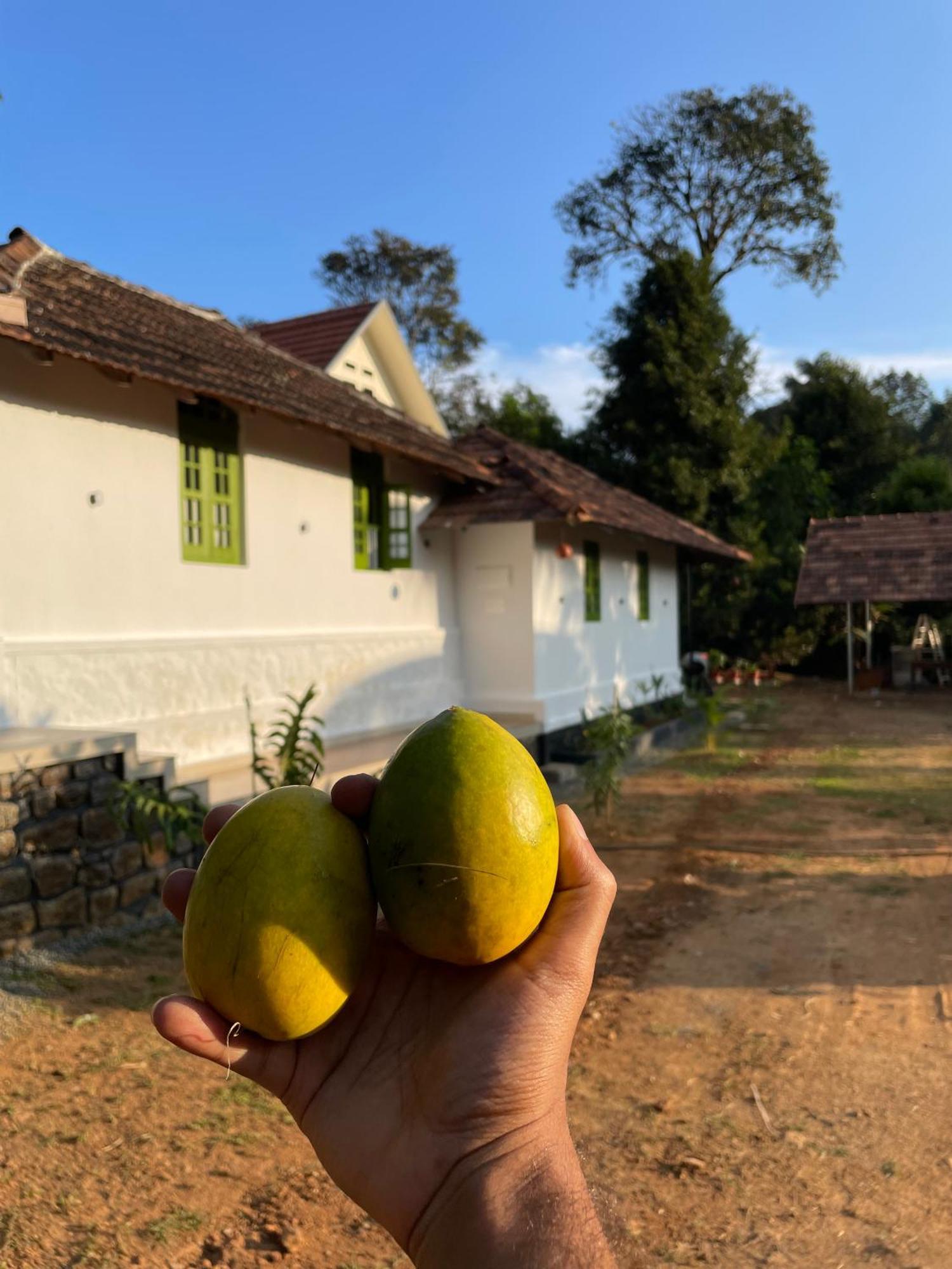 Calm Shack - 2 Bedroom-Boutique Farm Stay مونار المظهر الخارجي الصورة