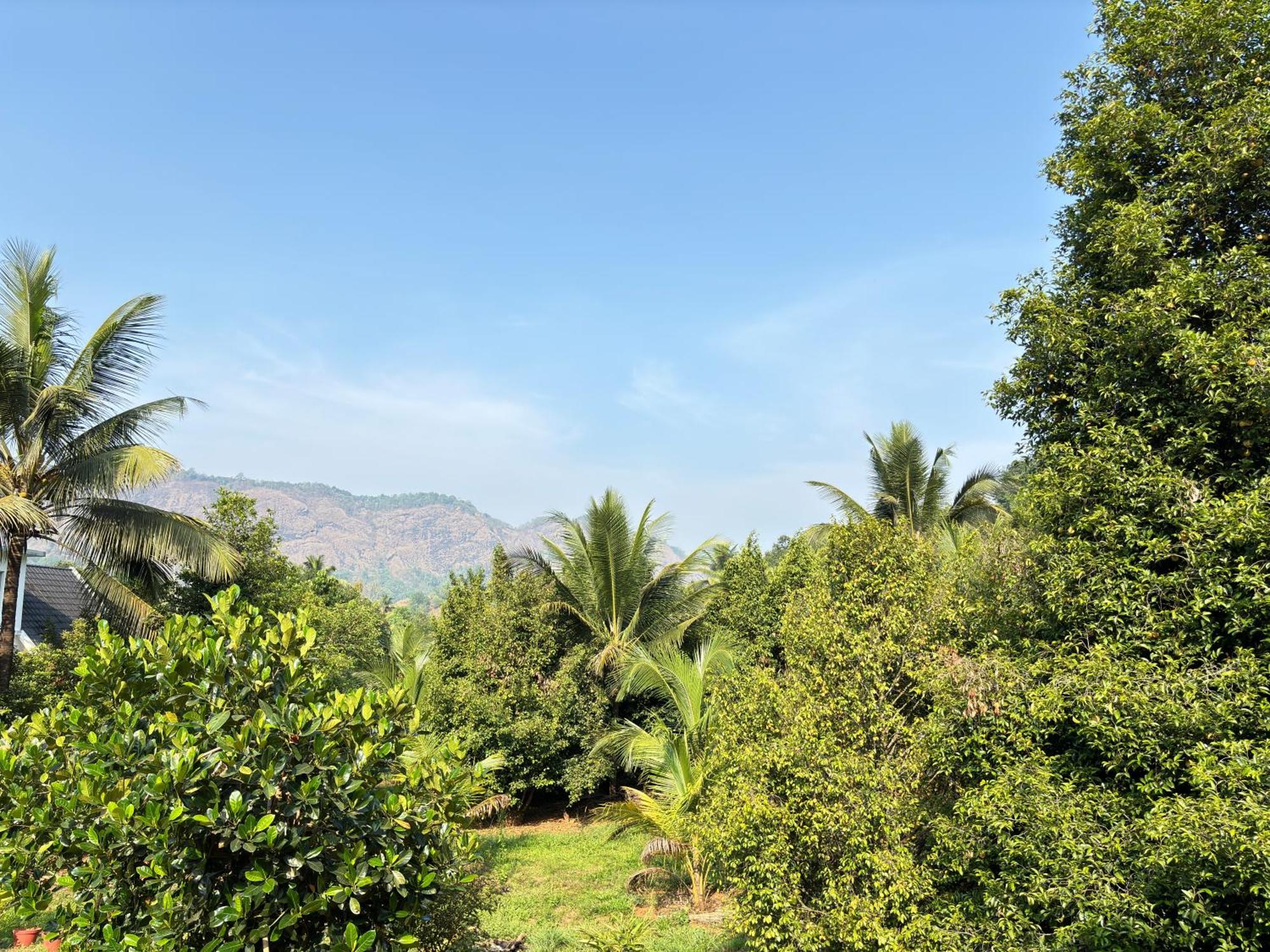 Calm Shack - 2 Bedroom-Boutique Farm Stay مونار المظهر الخارجي الصورة